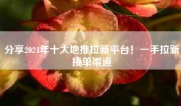 分享2024年十大地推拉新平台！一手拉新接单渠道