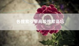 各搜索引擎高级搜索备忘
