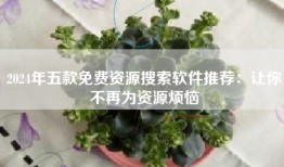 2024年五款免费资源搜索软件推荐：让你不再为资源烦恼