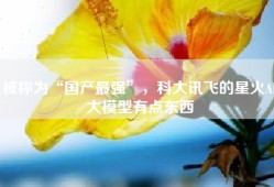 被称为“国产最强”，科大讯飞的星火AI大模型有点东西