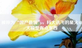 被称为“国产最强”，科大讯飞的星火AI大模型有点东西