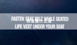 赤金是什么金
