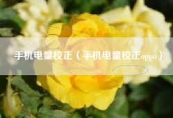 手机电量校正（手机电量校正oppo）
