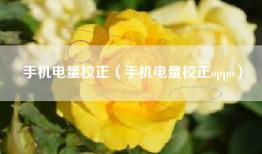 手机电量校正（手机电量校正oppo）