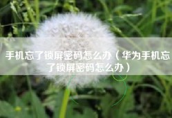 手机忘了锁屏密码怎么办（华为手机忘了锁屏密码怎么办）