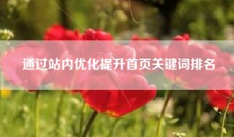 通过站内优化提升首页关键词排名