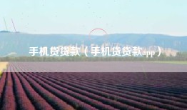 手机贷贷款（手机贷贷款app）