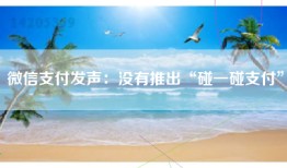 微信支付发声：没有推出“碰一碰支付”