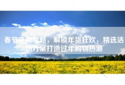 春节电商攻略，解锁年货狂欢，精选活动方案打造过年购物热潮