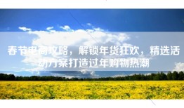 春节电商攻略，解锁年货狂欢，精选活动方案打造过年购物热潮