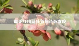 朝阳红山诗社首届诗歌春晚