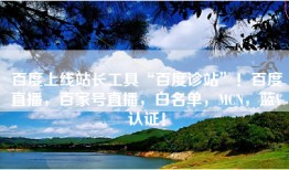 百度上线站长工具“百度诊站”！百度直播，百家号直播，白名单，MCN，蓝V认证！