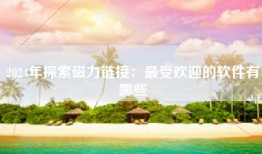 2024年探索磁力链接：最受欢迎的软件有哪些