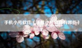 手机小号软件（手机小号软件有哪些）