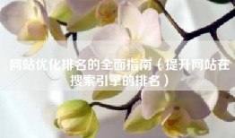 网站优化排名的全面指南（提升网站在搜索引擎的排名）