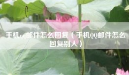 手机qq邮件怎么回复（手机QQ邮件怎么回复别人）