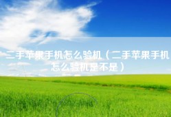 二手苹果手机怎么验机（二手苹果手机怎么验机是不是）