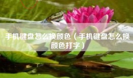 手机键盘怎么换颜色（手机键盘怎么换颜色打字）