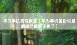 华为手机备份恢复（华为手机备份恢复后微信数据不见了）