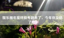 娱乐圈年度终极考题来了，今年你及格了吗？
