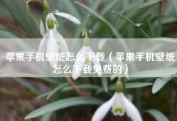 苹果手机壁纸怎么下载（苹果手机壁纸怎么下载免费的）