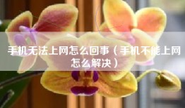 手机无法上网怎么回事（手机不能上网怎么解决）