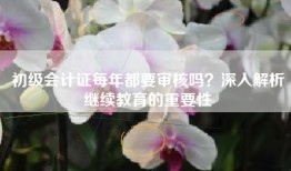 初级会计证每年都要审核吗？深入解析继续教育的重要性