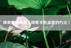 降低手机温度（降低手机温度的方法）