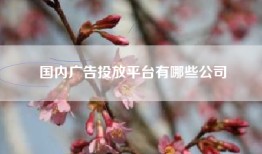 国内广告投放平台有哪些公司