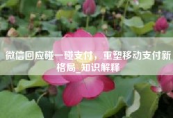 微信回应碰一碰支付，重塑移动支付新格局_知识解释