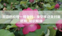 微信回应碰一碰支付，重塑移动支付新格局_知识解释