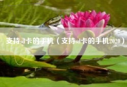 支持sd卡的手机（支持sd卡的手机2020）