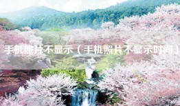手机照片不显示（手机照片不显示时间）