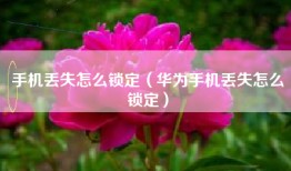 手机丢失怎么锁定（华为手机丢失怎么锁定）