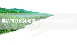 手机可以放冰箱吗（手机能放冰箱里吗？）