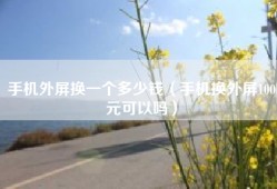 手机外屏换一个多少钱（手机换外屏100元可以吗）