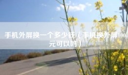 手机外屏换一个多少钱（手机换外屏100元可以吗）