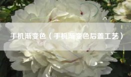 手机渐变色（手机渐变色后盖工艺）