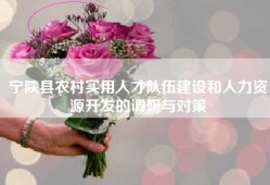 宁陕县农村实用人才队伍建设和人力资源开发的调研与对策