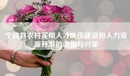 宁陕县农村实用人才队伍建设和人力资源开发的调研与对策