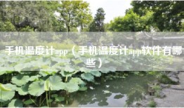 手机温度计app（手机温度计app软件有哪些）