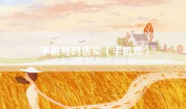 手机号码售卖（手机号）