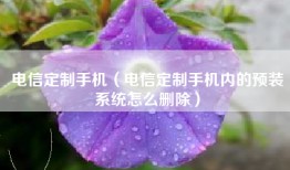 电信定制手机（电信定制手机内的预装系统怎么删除）