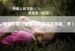 智慧手机（智慧手机闯荡世界第二季）