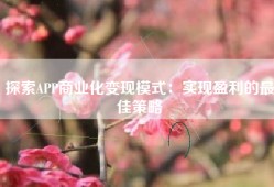 探索APP商业化变现模式：实现盈利的最佳策略