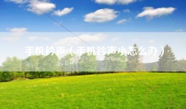 手机钤声（手机钤声小怎么办）