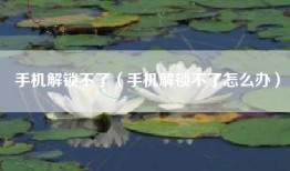 手机解锁不了（手机解锁不了怎么办）