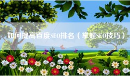 如何提高百度SEO排名（掌握SEO技巧）