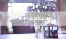 苹果手机定位怎么设置