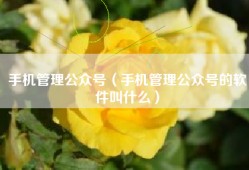 手机管理公众号（手机管理公众号的软件叫什么）
